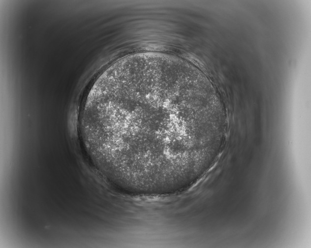 X0000087640194200705311333