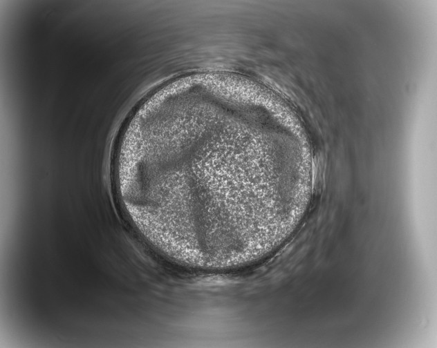 X0000087640195200705311333