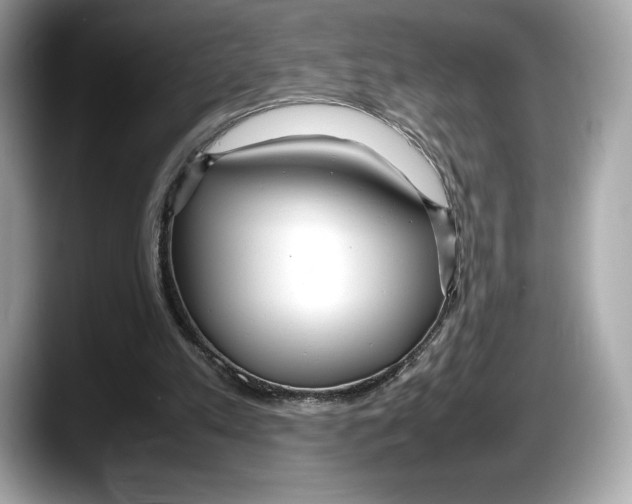 X0000087640197200705311333