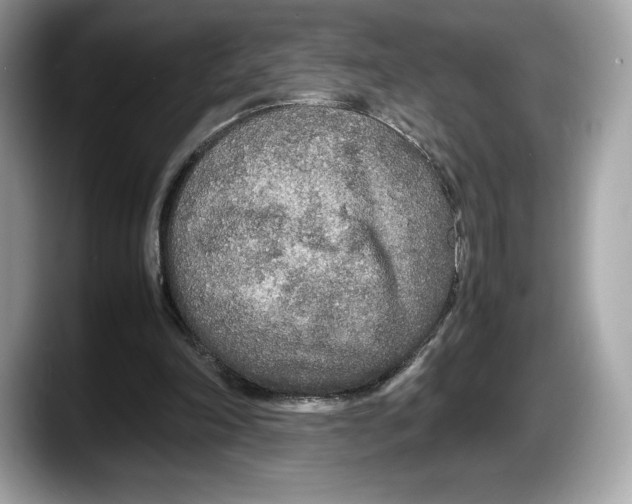 X0000087640198200705311333