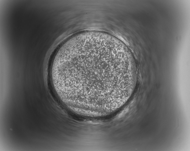 X0000087640199200705311333