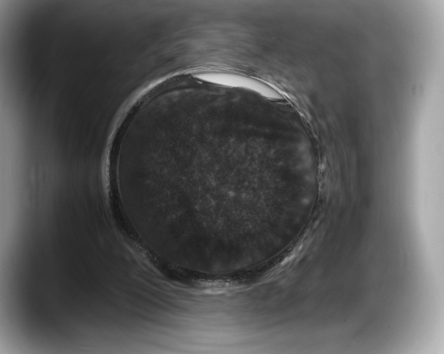 X0000087640200200705311333