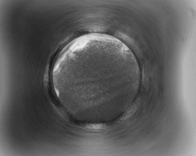 X0000087640202200705311333