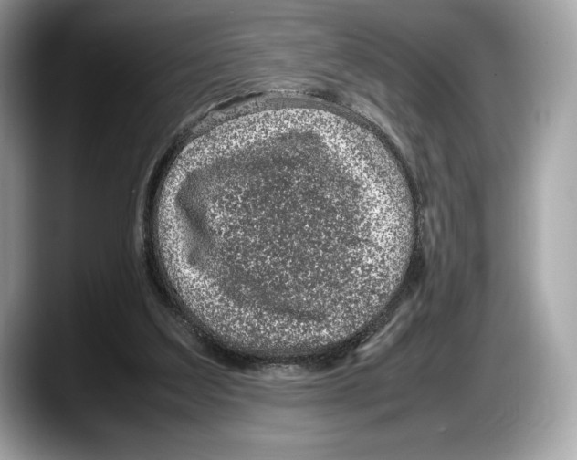 X0000087640203200705311333