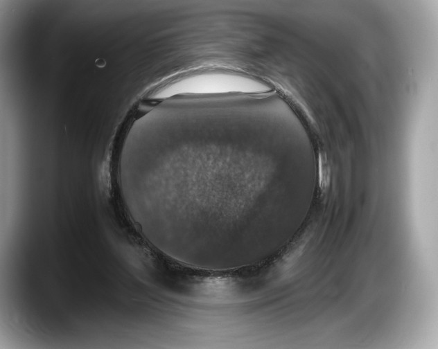 X0000087640204200705311333