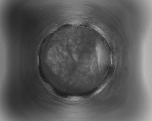 X0000087640205200705311333