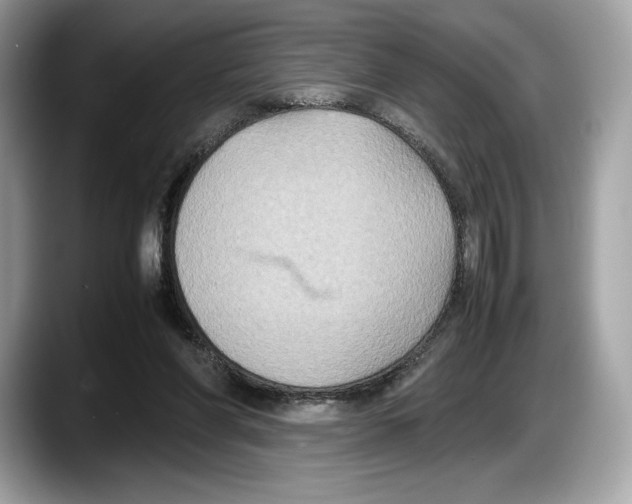 X0000087640206200705311332