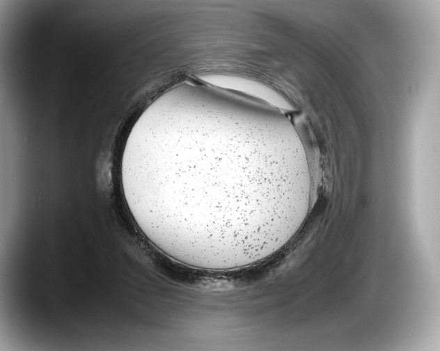 X0000087640207200705311332