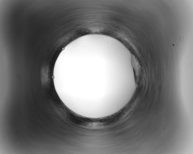 X0000087640212200705311332