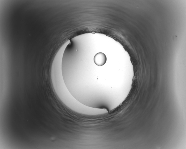 X0000087640213200705311332