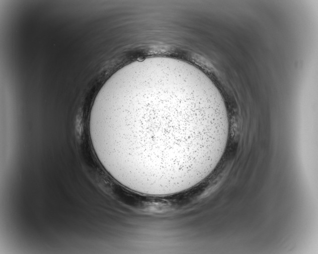 X0000087640215200705311332