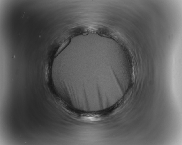 X0000087640223200705311332