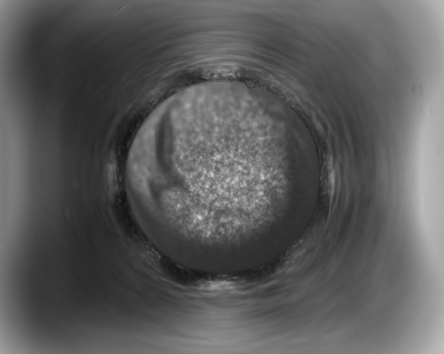 X0000087640224200705311332