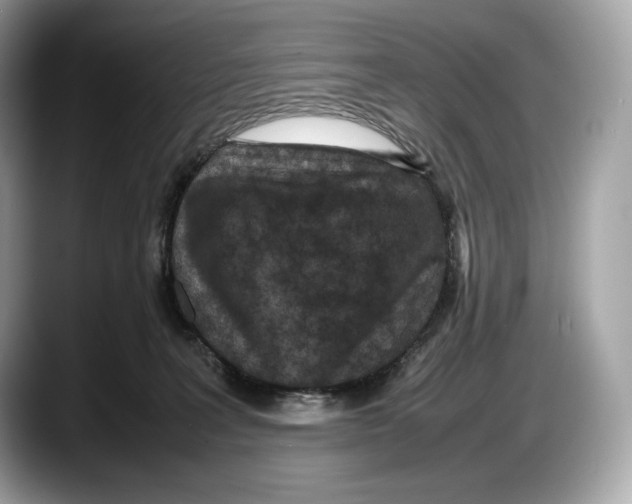 X0000087640227200705311332