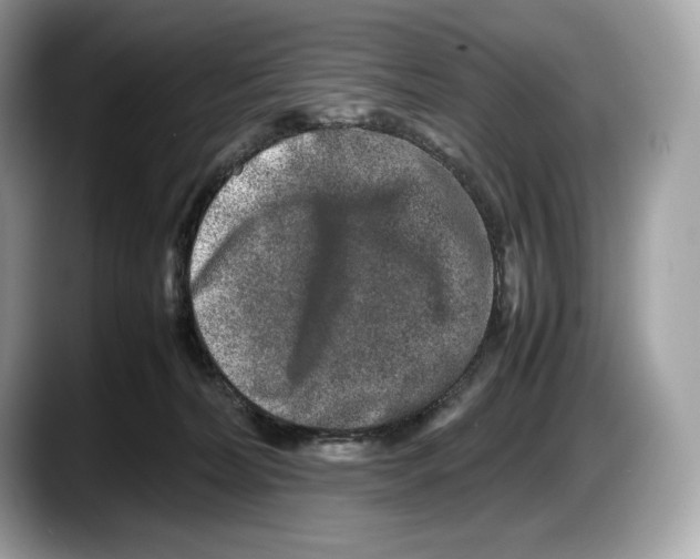 X0000087640228200705311332