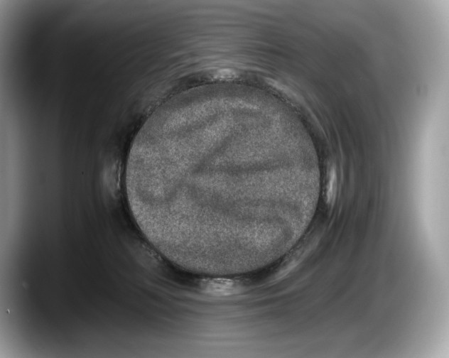 X0000087640230200705311332