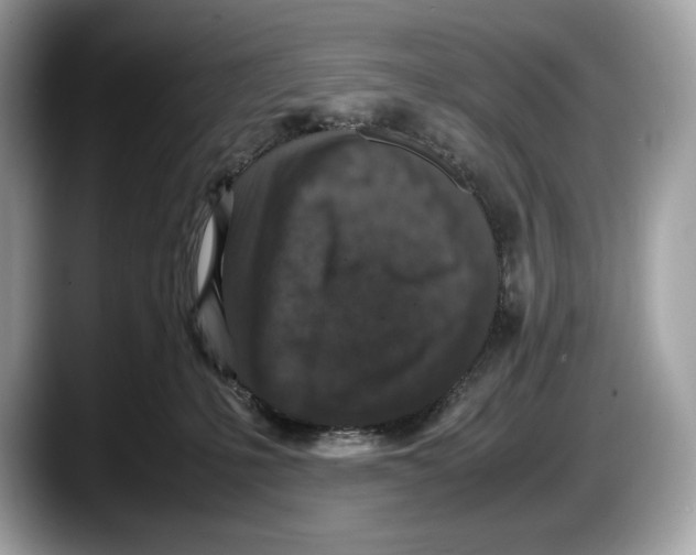 X0000087640231200705311332