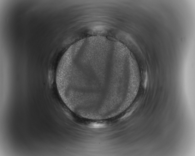 X0000087640232200705311332