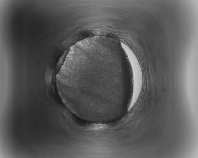 X0000087640233200705311332