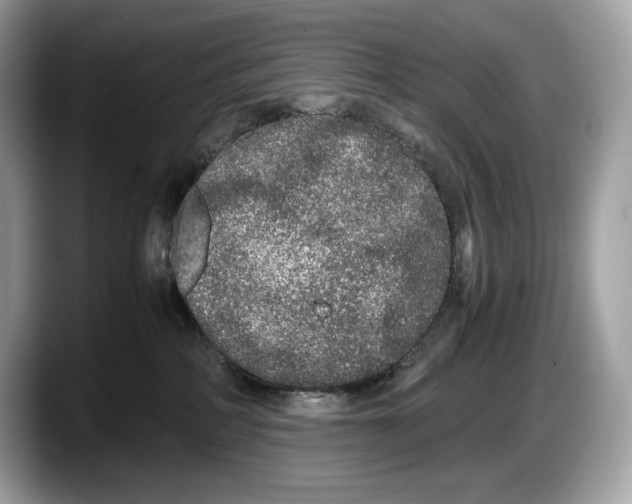 X0000087640234200705311332