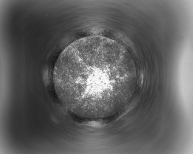 X0000087640236200705311332