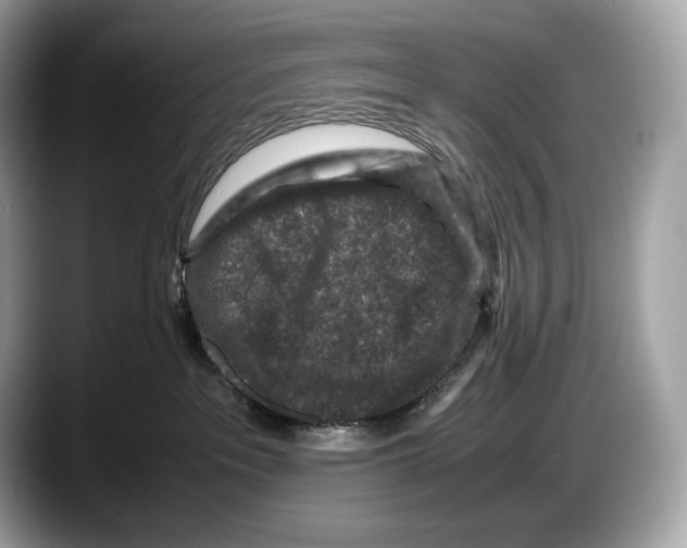 X0000087640237200705311332