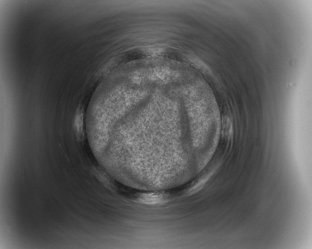 X0000087640238200705311332