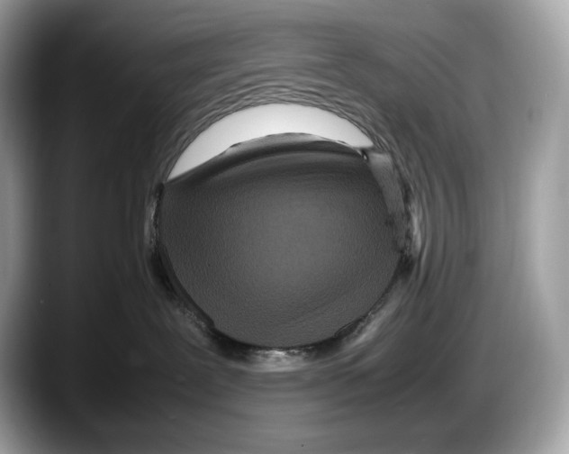 X0000087640239200705311332