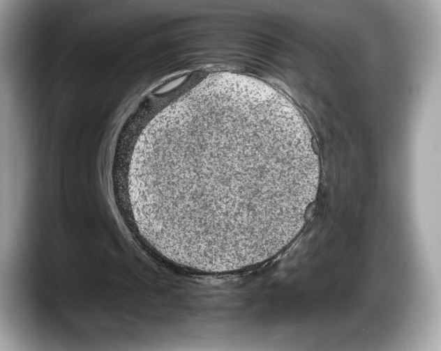 X0000087640241200705311332