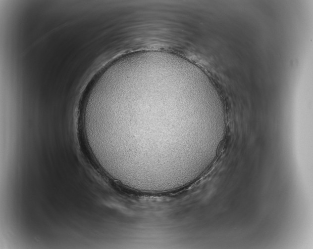 X0000087640242200705311332