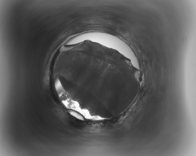 X0000087640243200705311332