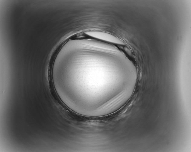 X0000087640244200705311332