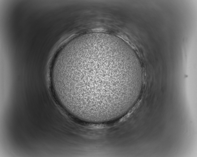 X0000087640245200705311332