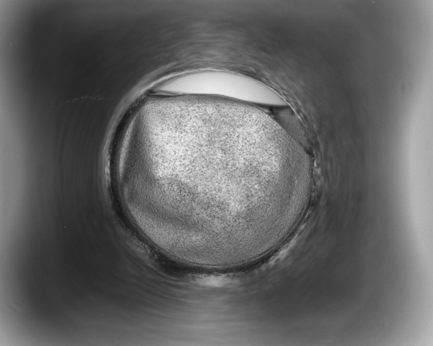 X0000087640246200705311332