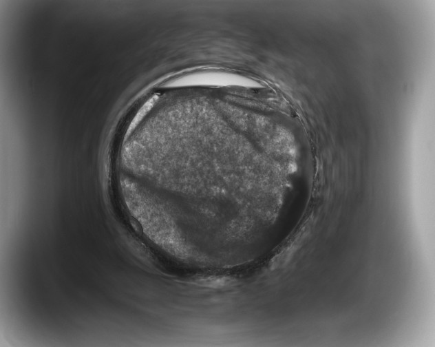 X0000087640247200705311332