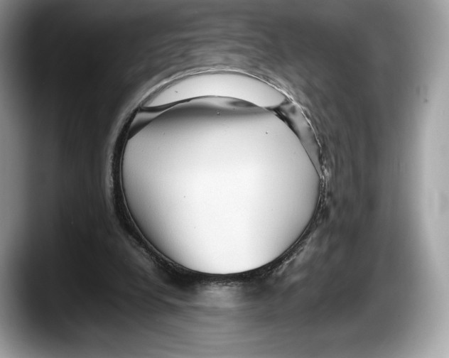 X0000087640248200705311332