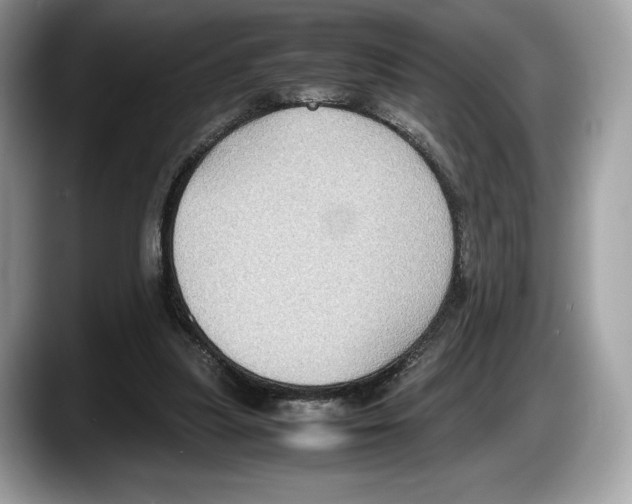 X0000087640251200705311332