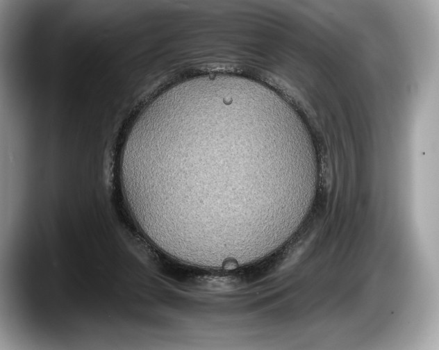 X0000087640255200705311332