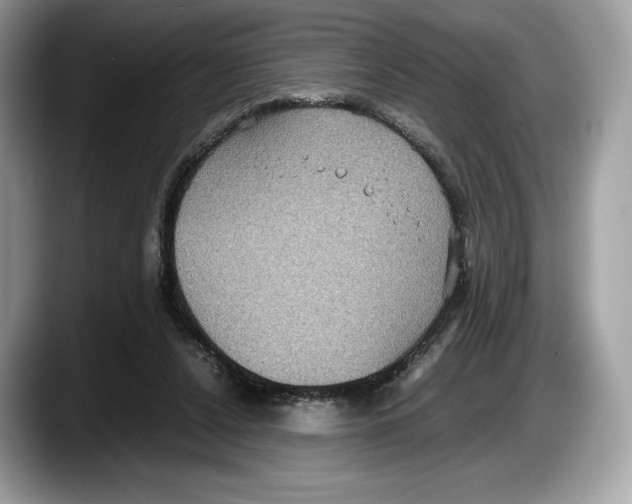 X0000087640256200705311332