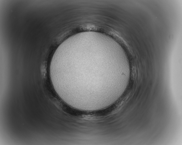 X0000087640259200705311332