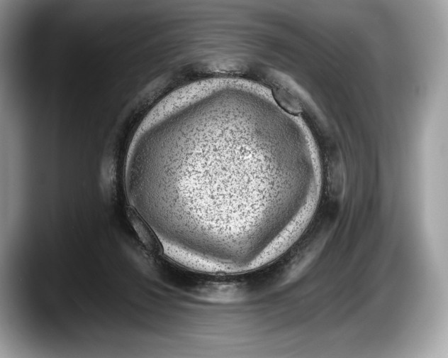 X0000087640260200705311332