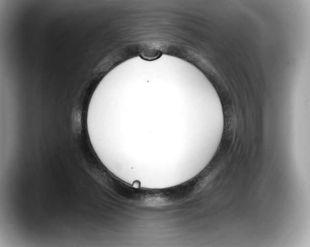 X0000087640262200705311332