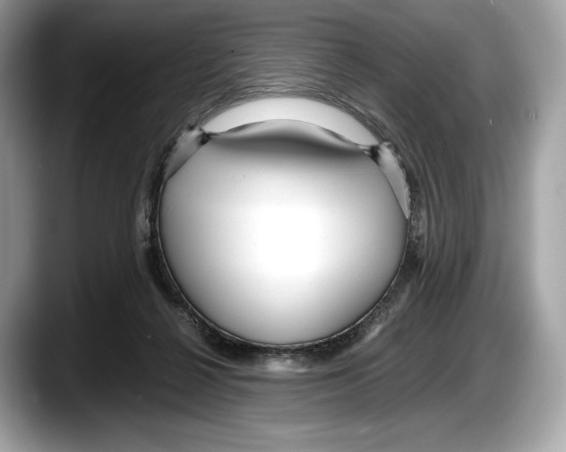 X0000087640264200705311332