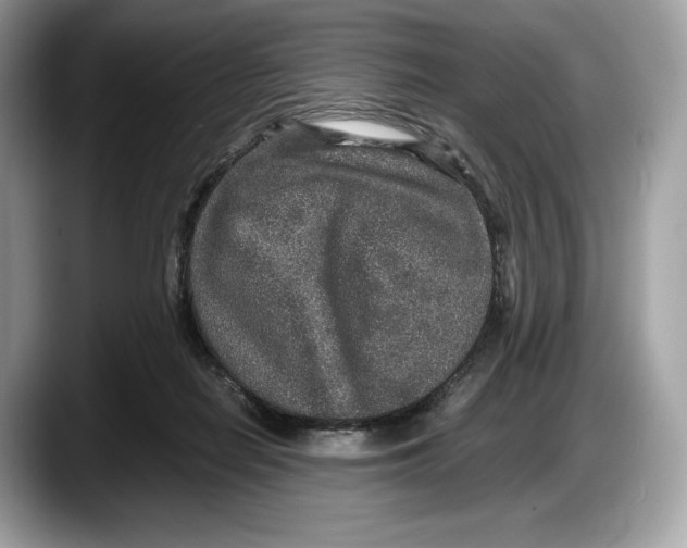 X0000087640266200705311332