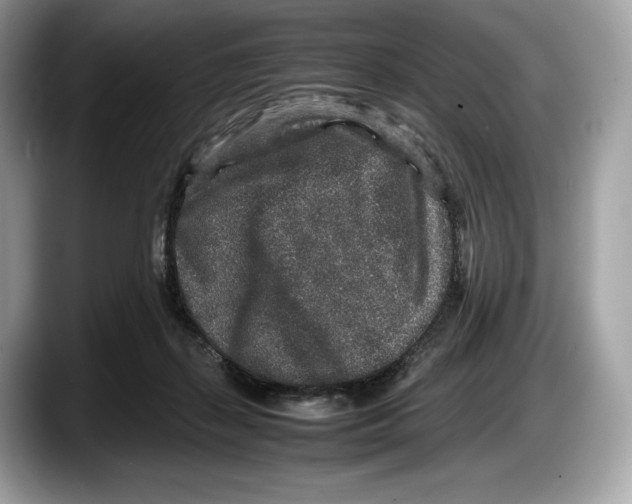 X0000087640267200705311332