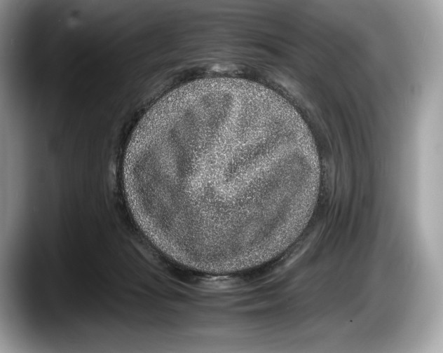 X0000087640269200705311332