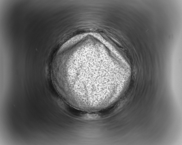 X0000087640270200705311332