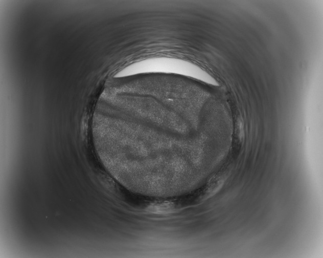 X0000087640271200705311332