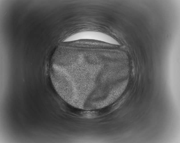 X0000087640273200705311332