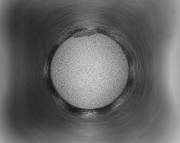 X0000087640274200705311332